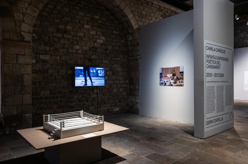 Camila Cañeque, Infinita/Unfinished