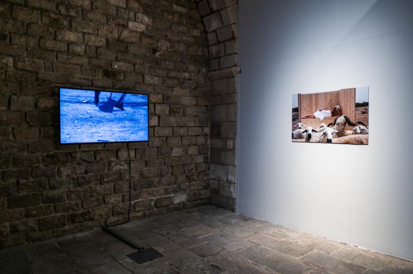 Camila Cañeque, Infinita/Unfinished