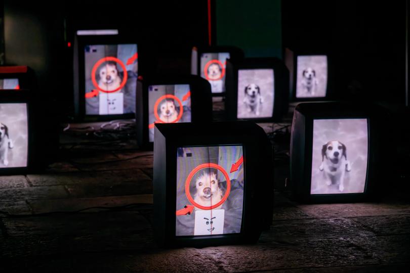 Caca banal, de Daniel Moreno Roldán