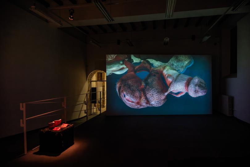 Pol Merchan, La pantalla mutant