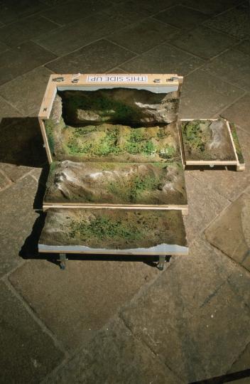 Des dels confins de la terra