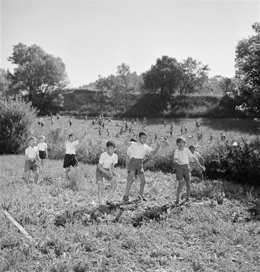 Són els microorganismes els que tindran l’última paraula. Activitat 2: Aire lliure