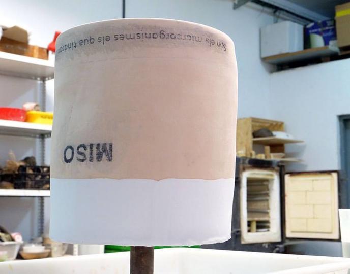 Són els microorganismes els que tindran l'última paraula