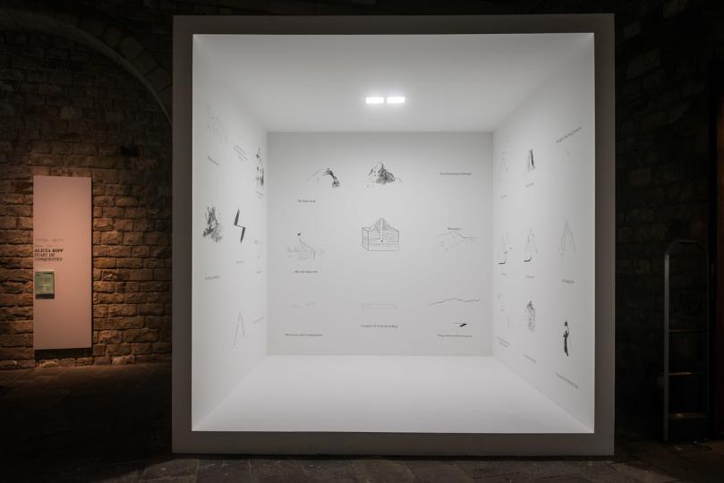 Diari de conquestes / Alicia Kopf