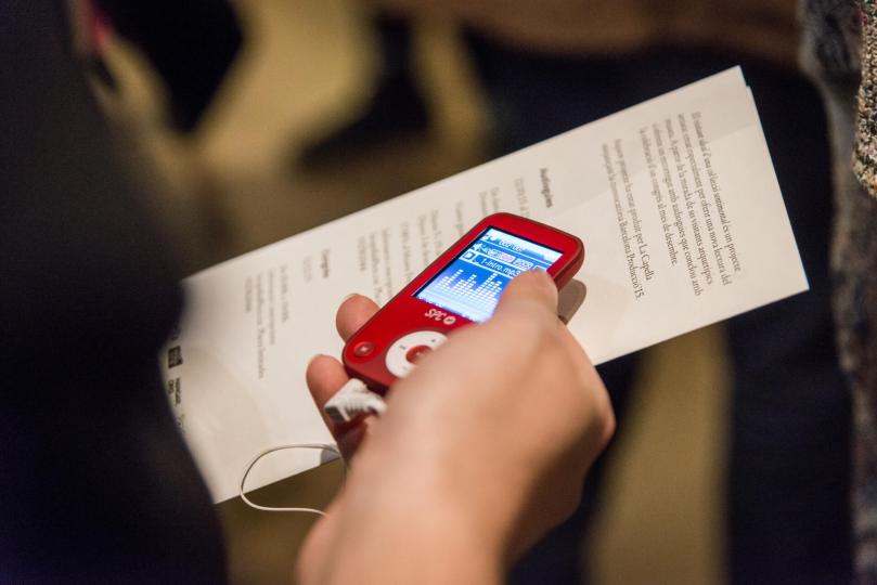 El visitant ideal d'una col·lecció sentimental