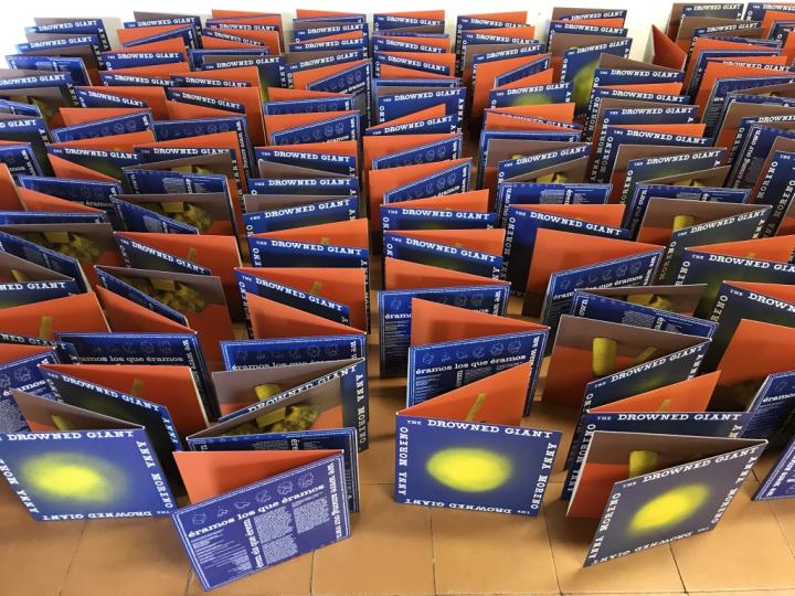 the drowned giant vynil