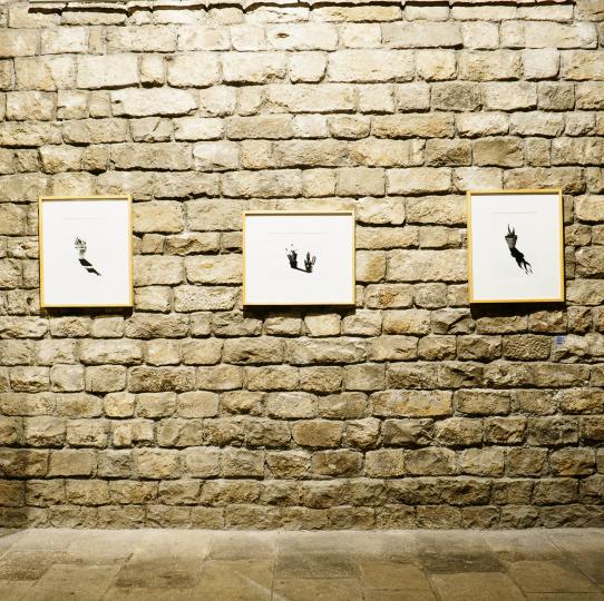 Creació Jove Mercè'98