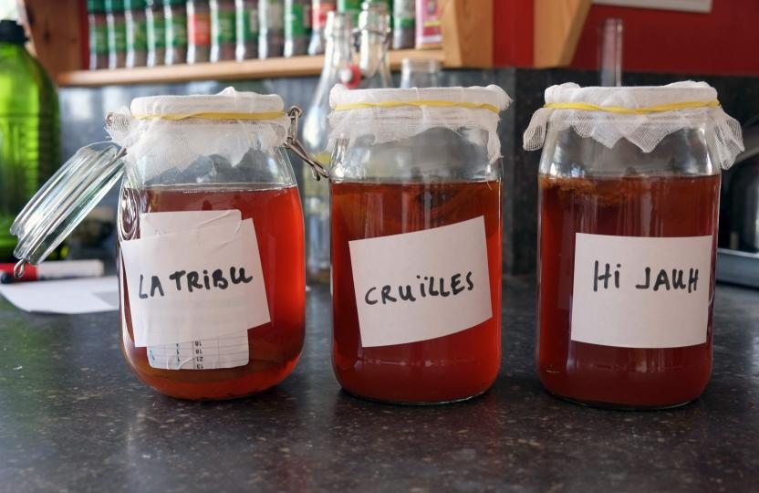 Són els microorganismes els que tindran l'última paraula