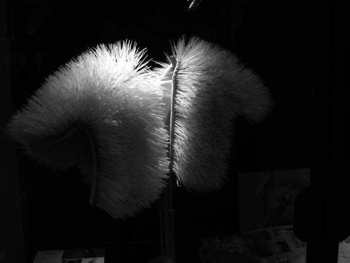 Tegumentum pro hominem // Marta López