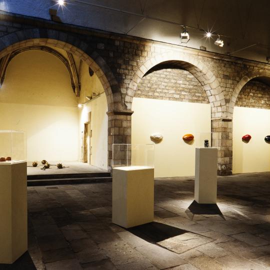 Travessies liminars_Jordi Calafell