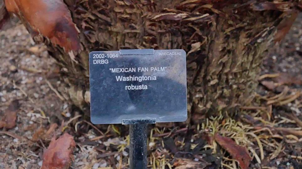 Activitats El Jardí