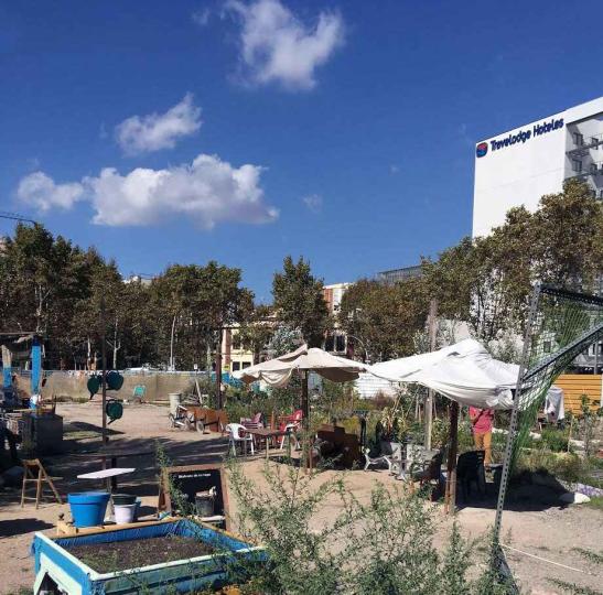  Són els microorganismes els que tindran l'última paraula. Activitat 1: Huerta La Vanguardia