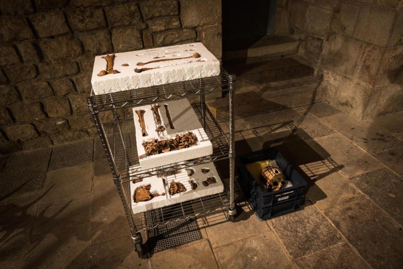 Realismo / David Bestué