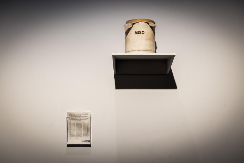 Són els microorganismes els que tindran l’última paraula. Activitat 4: Romeria i Festa del Miso 