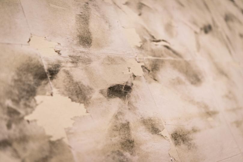 PW6 AA Prueba de Leucofobia: Blanco sobre Blanco / Alberto Gil - (Foto: Pep Herrero)