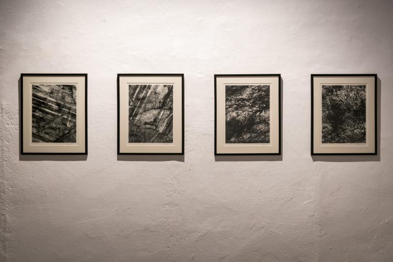 Untitled 01, 02, 03, 04 / Shaun Fraser - (Foto: Pep Herrero)