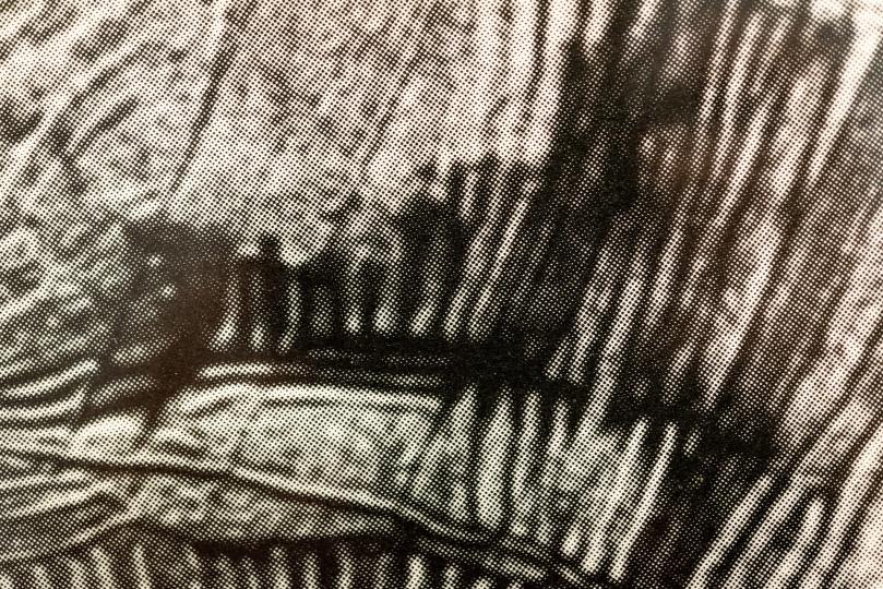 Untitled 02 / Shaun Fraser - (Foto: Pep Herrero)