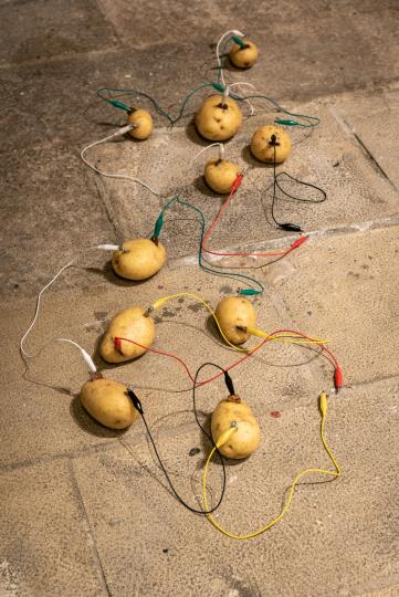 atrevidas Hermanas, que en el tremendo castigo de desnudas les dio pardas membranas / Ariadna Guiteras - (Foto: Pep Herrero)