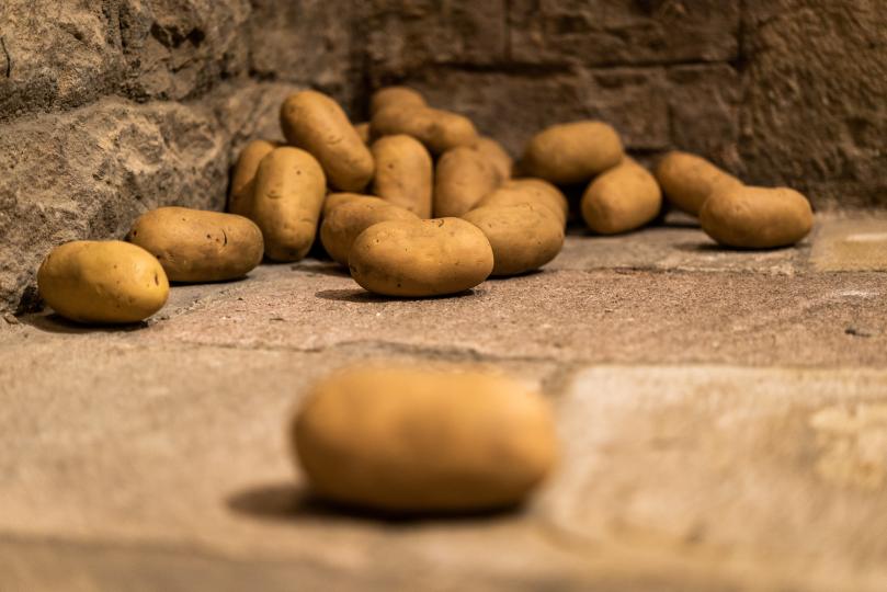 Topapoes / Marc Badia - (Foto: Pep Herrero)