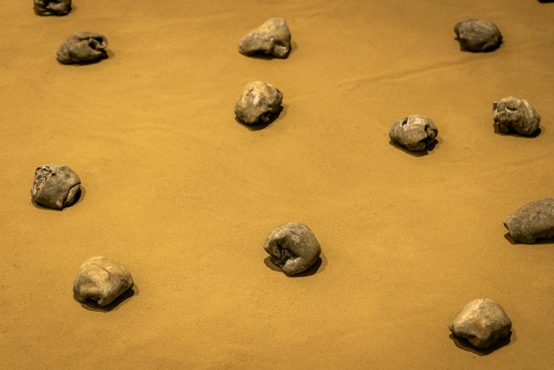 Pieles / Pablo del Pozo - (Foto: Pep Herrero)