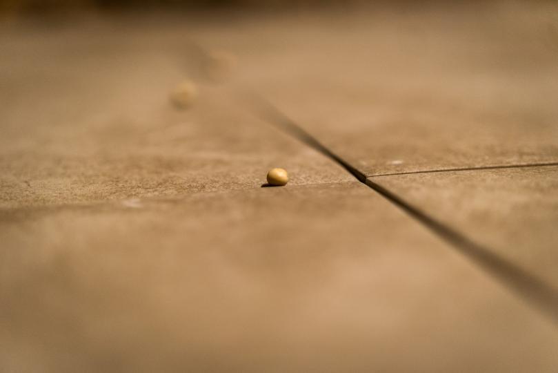 Una muntanya a dins de casa / Anna Dot - (Foto: Pep Herrero)