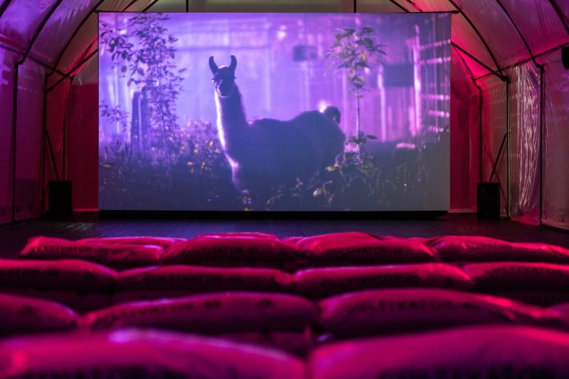 Agrilogística, Gerard Ortín. Foto: Pep Herrero