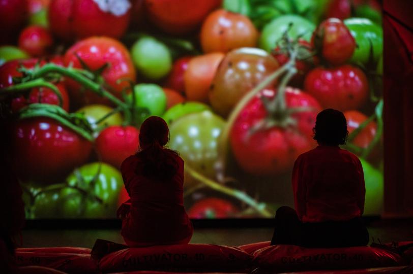 Agrilogística, Gerard Ortín. Foto: Pep Herrero