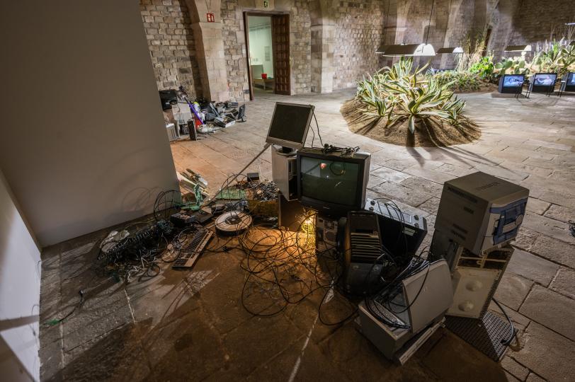 Imaginaris multiespècies. L’art de viure en un món de contingència i incertesa Christian Alonso. Foto: Pep Herrero