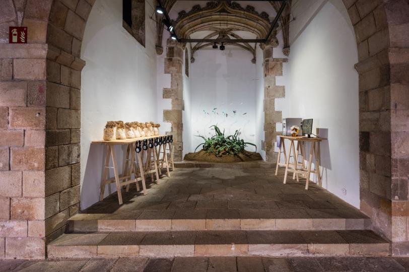 Imaginaris multiespècies. L’art de viure en un món de contingència i incertesa Christian Alonso. Foto: Pep Herrero