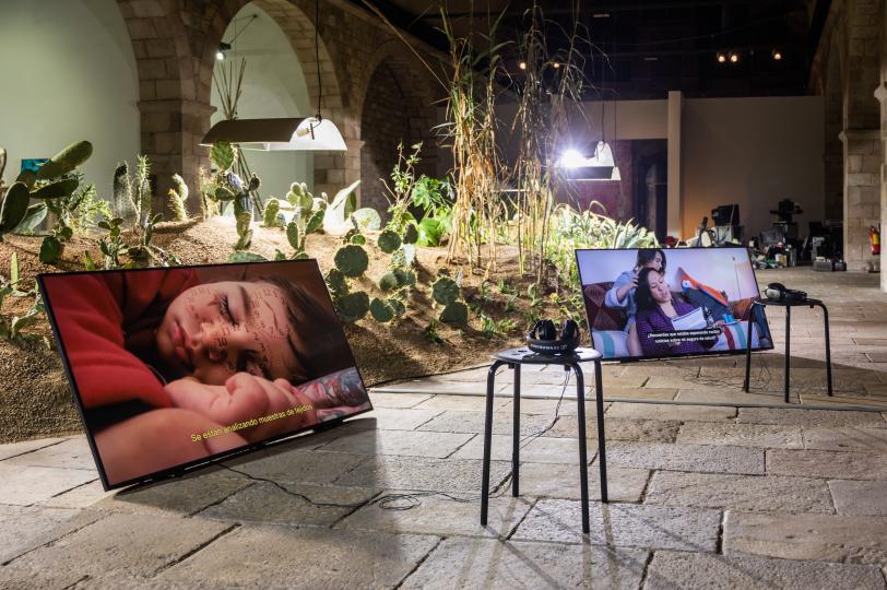 Imaginaris multiespècies. L’art de viure en un món de contingència i incertesa Christian Alonso. Foto: Pep Herrero