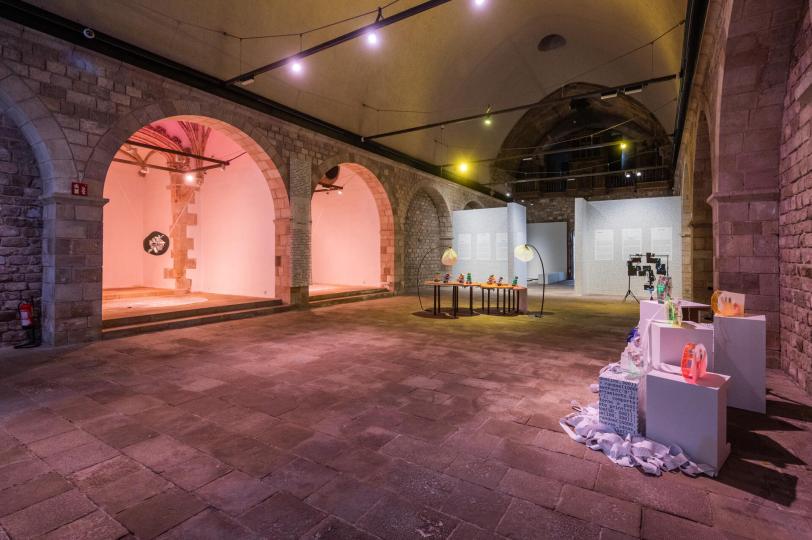 Hipertèlia, Mónica Rikić 