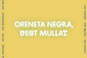 Xerrada “Oreneta negra, vent mullat – Meteorologia, emocions i intel·ligències artificials”