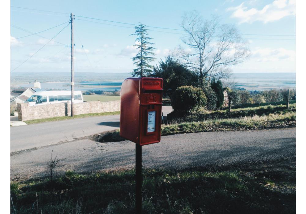 Cartas desde el bosque
