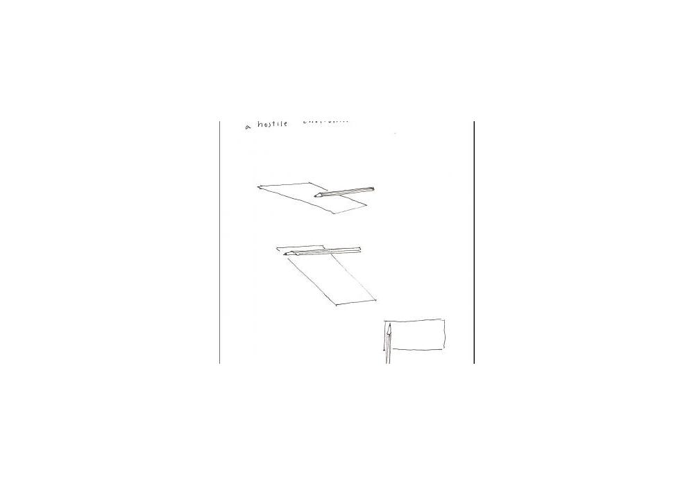 Diari de conquestes / Alicia Kopf