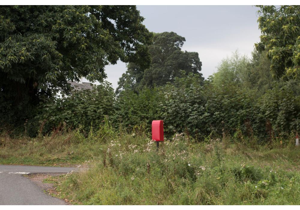 Barbara Sánchez Barroso, Cartes des del Bosc