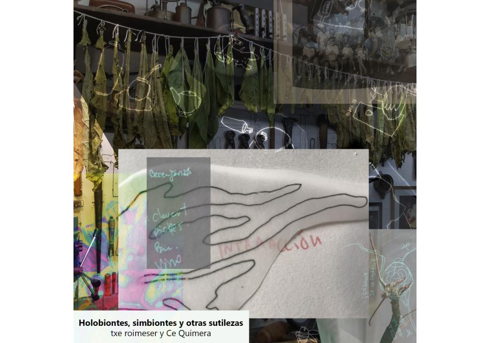 Holobionts, simbionts i altres subtileses