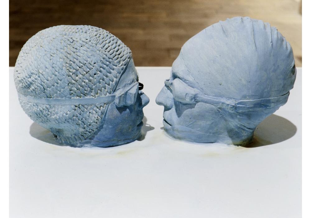 Travessies liminars_Rosa Feliu