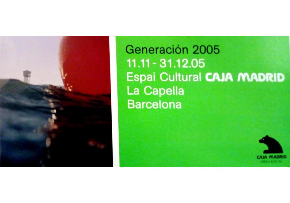 Generació 2005. Premis i beques d'art Caja Madrid