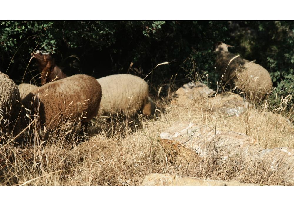 Marwa Arsanios - Who is Afraid of Ideology?