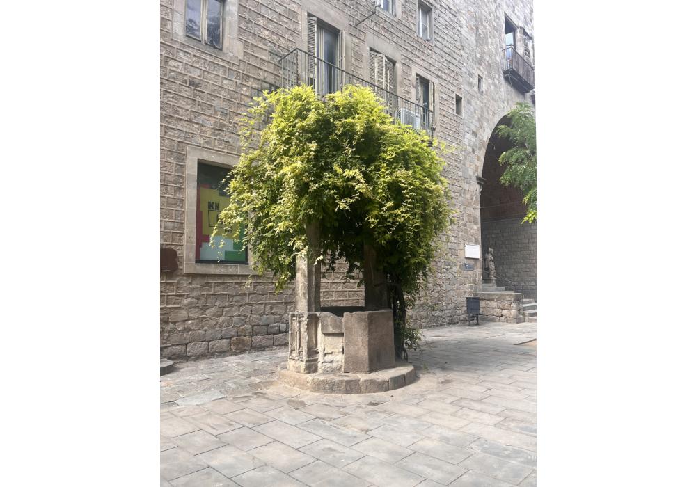 Paradesitjant: dibuixant un món desitjable més enllà de les fronteres