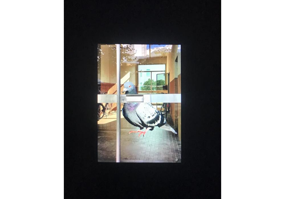 ANA MARTÍNEZ FERNÁNDEZ