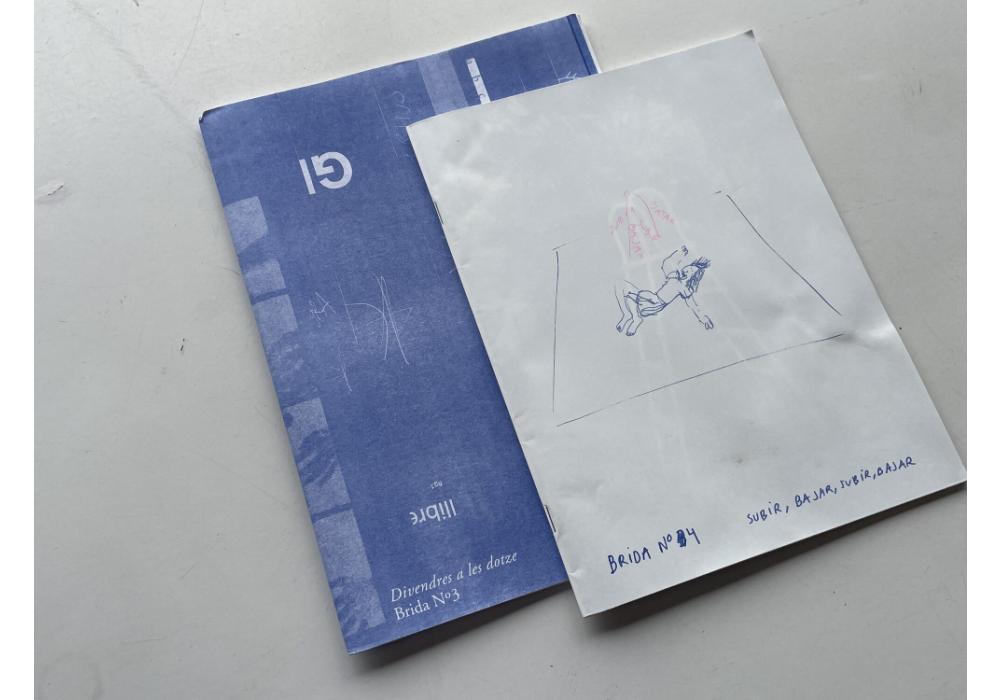 revista-brida