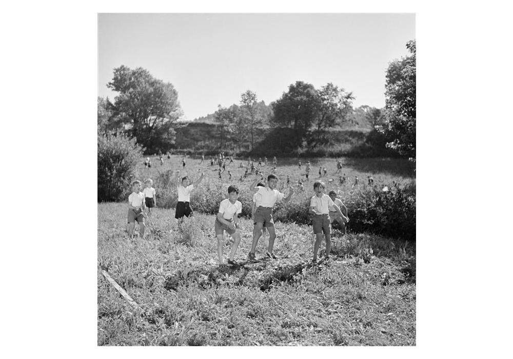 Són els microorganismes els que tindran l’última paraula. Activitat 2: Aire lliure