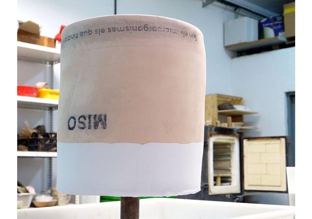 Són els microorganismes els que tindran l&#039;última paraula