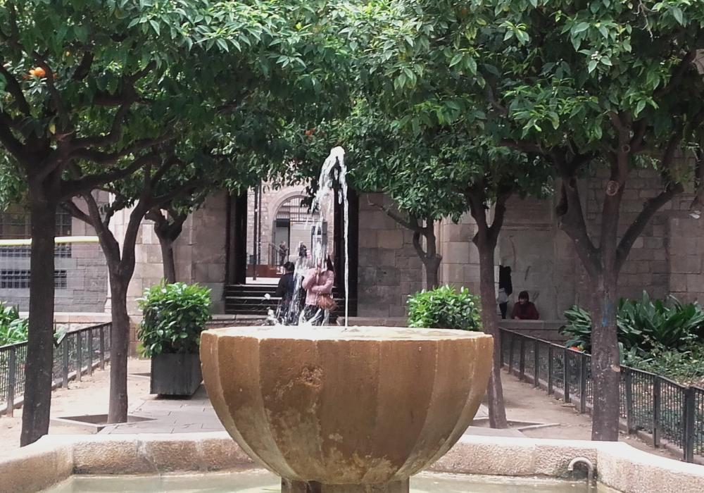 Aigua baixa. Sitesize