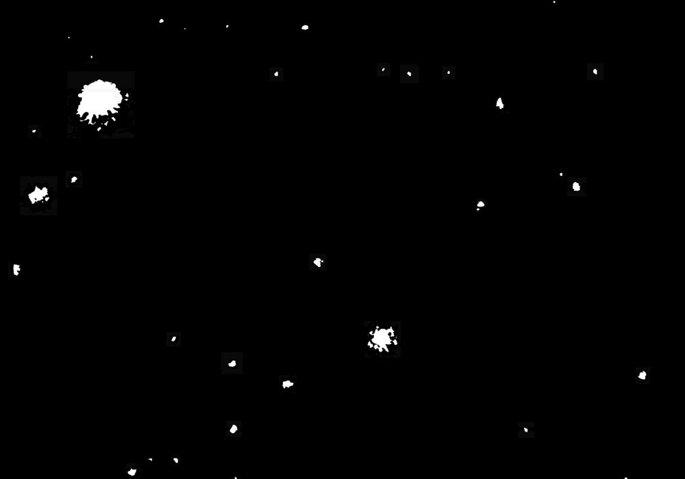 Martin Vitaliti, Ampo