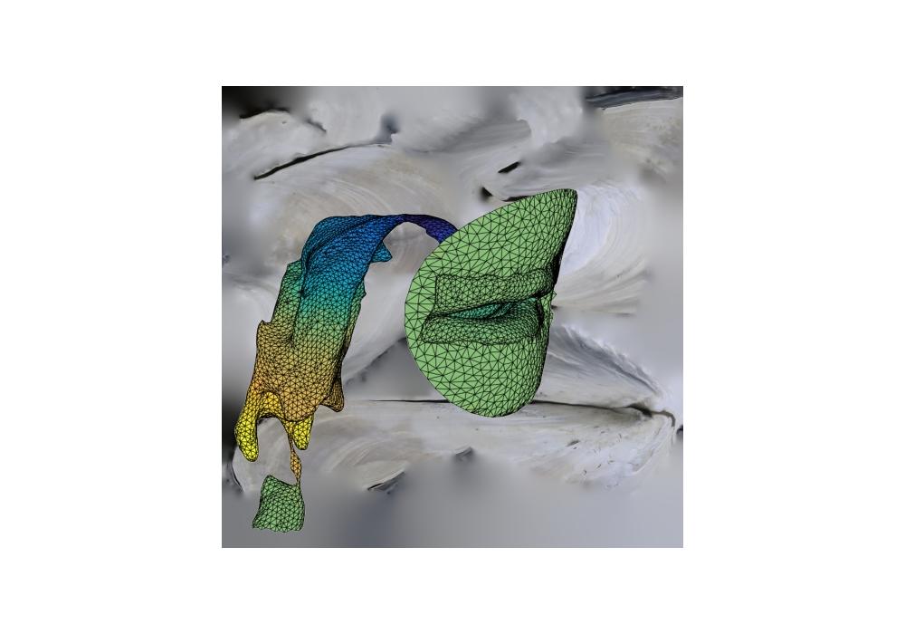 Taller: Un canto de nácar (bis), de Carlos Monleón