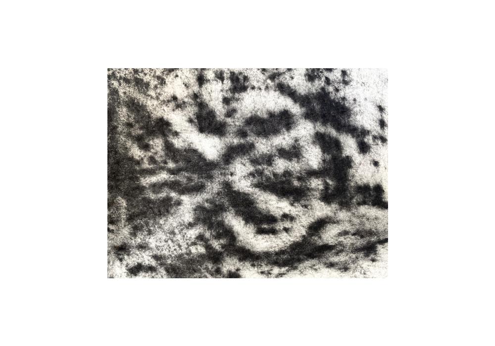 Cartografiar la capella