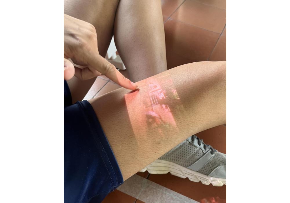 O qué hacer de aquí para atrás IN SITU 