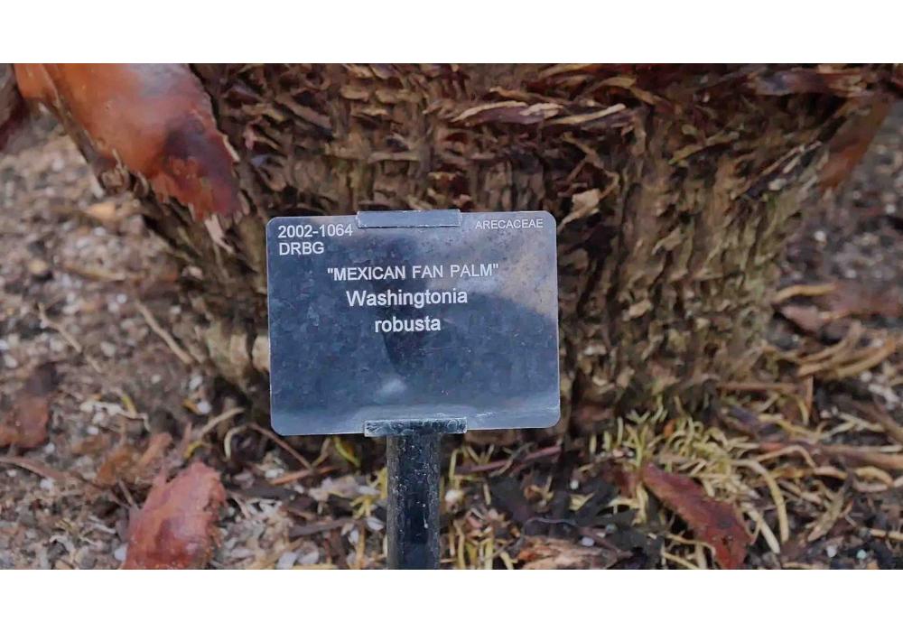 Activitats El Jardí